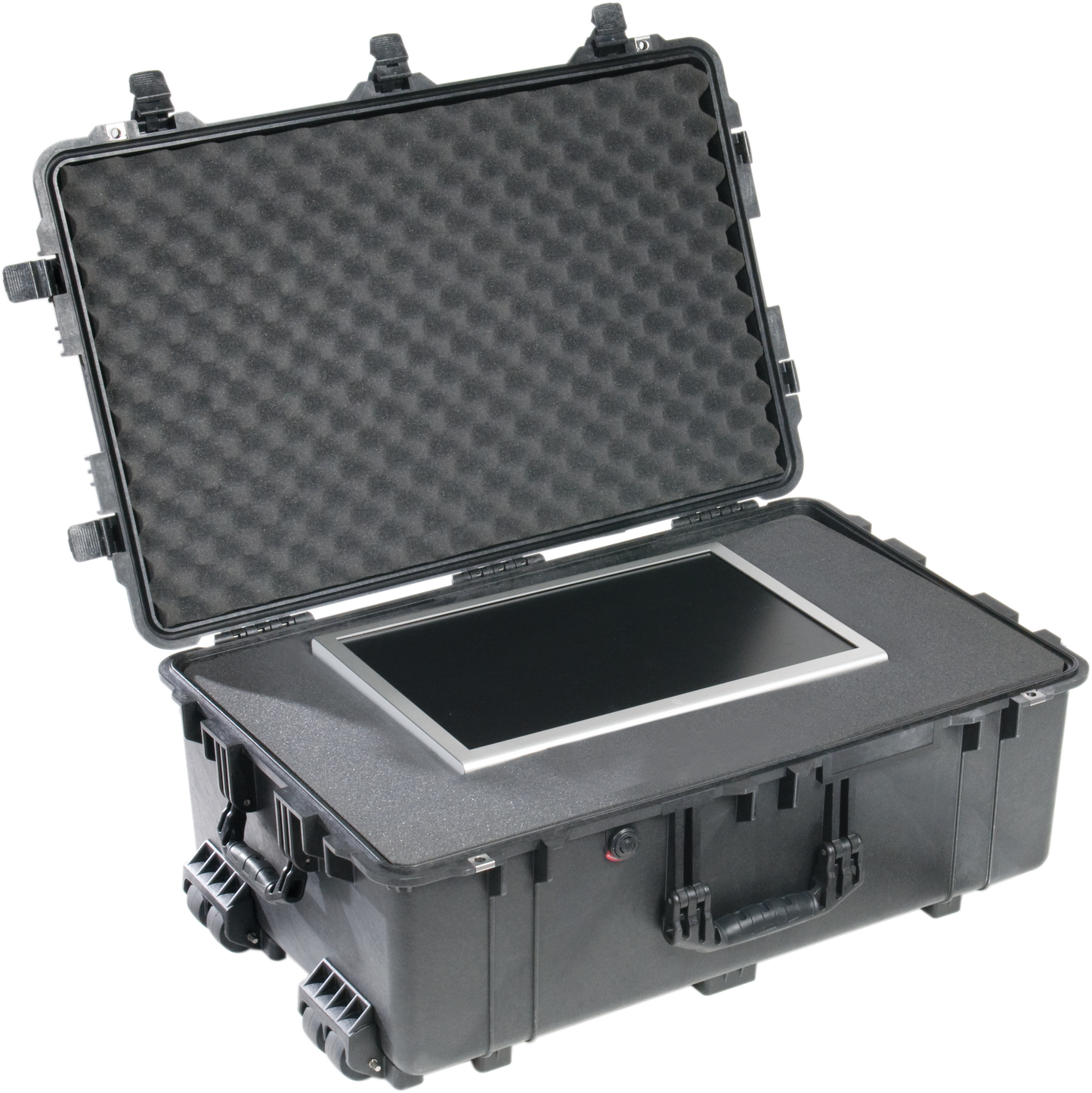 1650 Pelican™ Protector Case