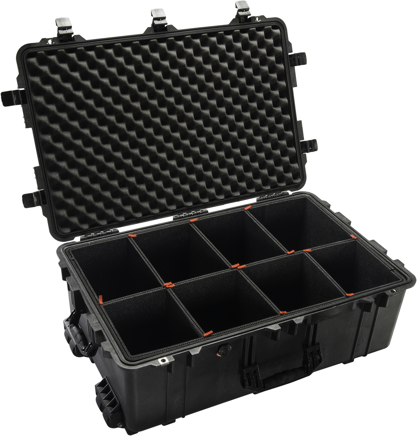 1650 Pelican™ Protector Case