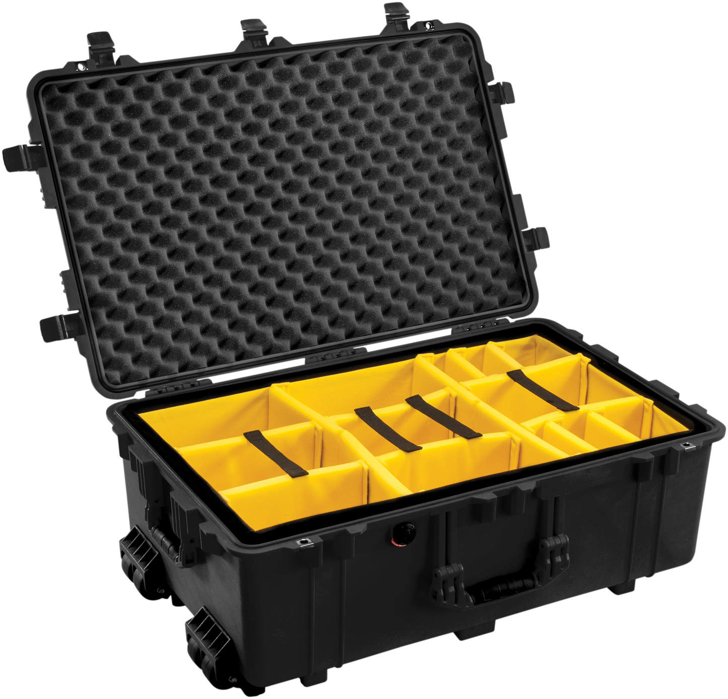 1650 Pelican™ Protector Case