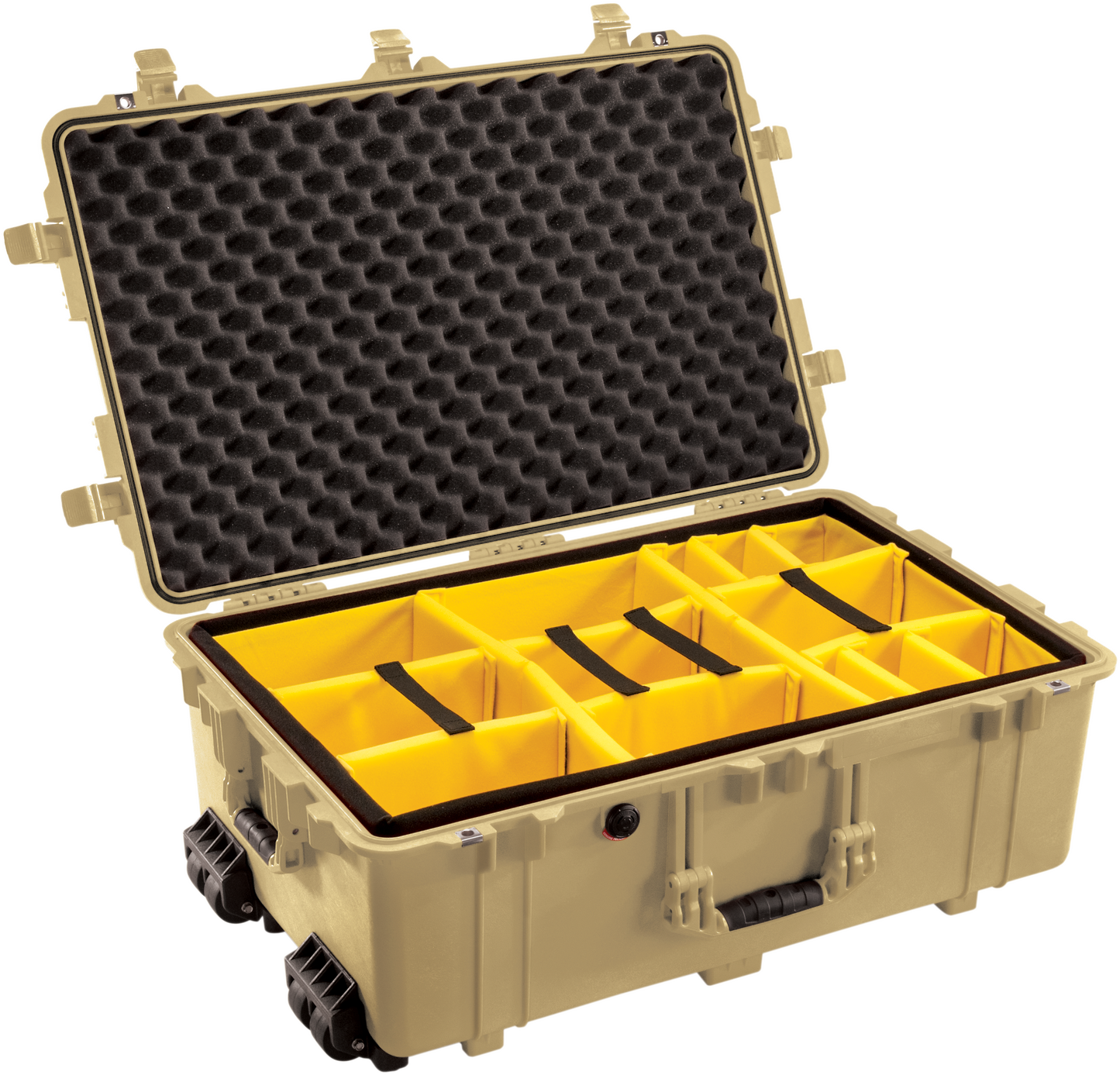 1650 Pelican™ Protector Case