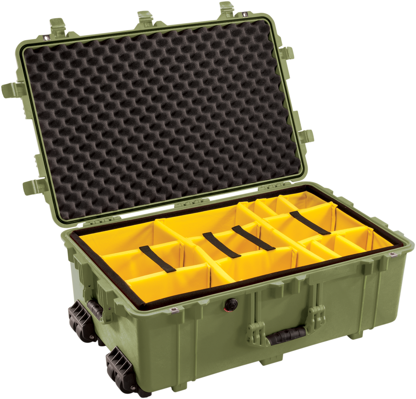 1650 Pelican™ Protector Case