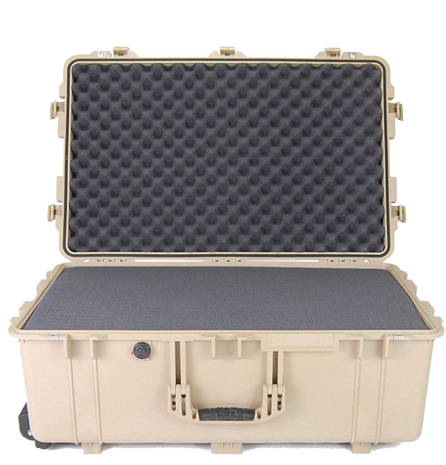 1650 Pelican™ Protector Case